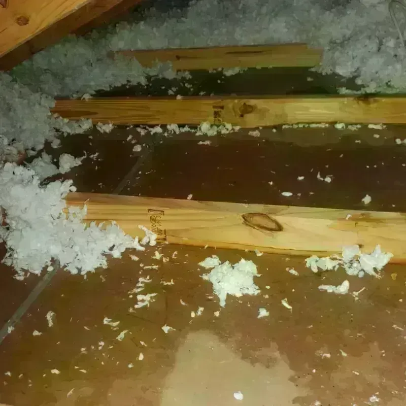 Attic Water Damage in Kent City, MI