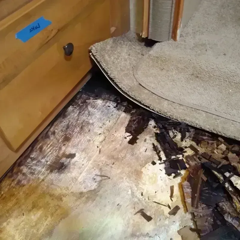 Wood Floor Water Damage in Kent City, MI